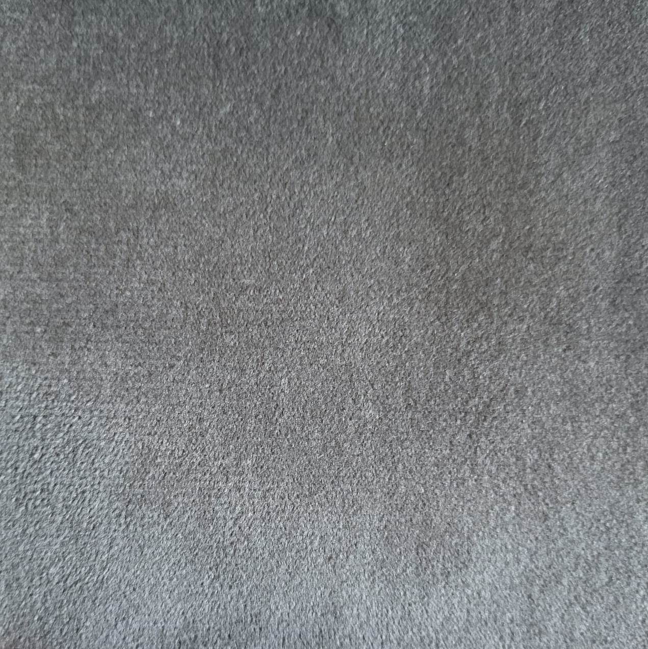 plush-grey.jpg