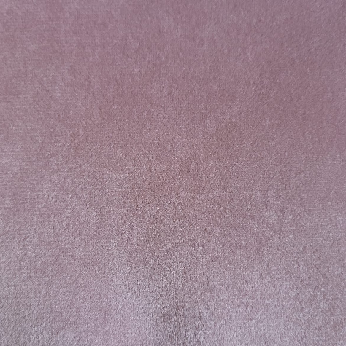 plush-pink.jpg